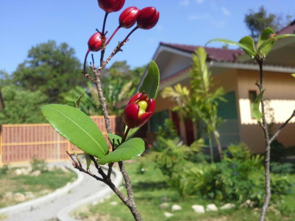 Villa De Mama Rawai Стая снимка